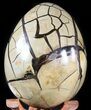 Septarian Dragon Egg Geode - Black Crystals #48004-3